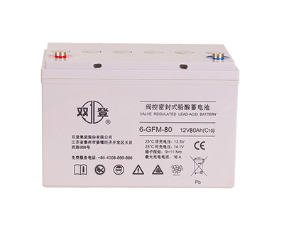 6-GFM鉛酸系列